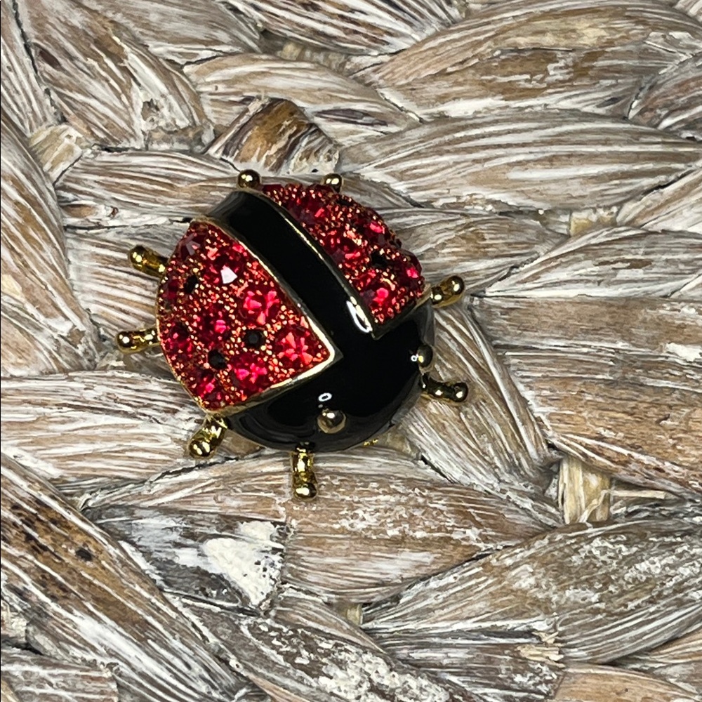 Elegant Ladybug Brooch in‎ Red and Black